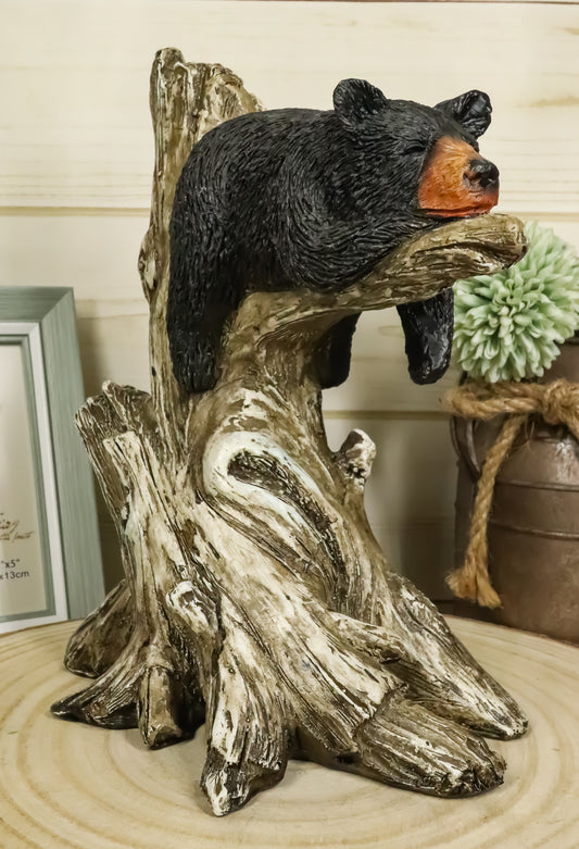 Ebros Lazy Days Of Summer Black Bear Sleeping On Tree Branch Statue Wildlife Forest Rustic Cabin Decor Bear Figurine