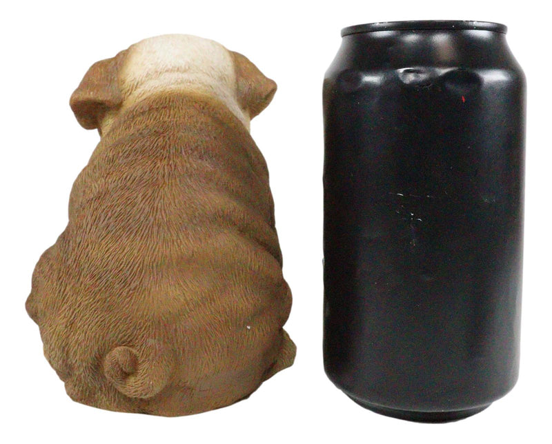 Ebros Lifelike Sitting Adorable Bulldog Puppy Dog Figurine 5"H Pet Pal Puppies