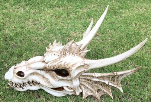 Large Elder Dragon Skull Statue Legendary Erathia Fossil Skeleton 18"L Figurine - Ebros Gift