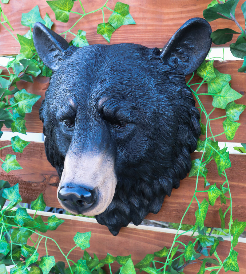 Ebros Large Olympic Black Bear Head Wall Decor Plaque 16"Tall Taxidermy Bust