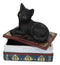 Wicca Mystical Black Cat Sitting On Book Of Spells Stack Decorative Jewelry Box