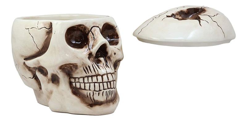 Ebros Large Ceramic Homosapien Jointed Human Skull Cookie Jar Figurine 9.25" L