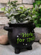 Green Thumb Gardening Black Witchcraft Herbs For Spells Cauldron Planter Pot 5"D