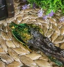 Ebros Aragon Green Dragon Cosplay Wand 9.5" Tall Accessory Fantasy Decor