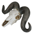 Rustic Majestic Texas Corsican Ram Skull With Horns Wall Decor Trophy 13"Wide