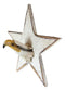 Rustic Western Wildlife American Patriotic Star Bald Eagle Head Wall Hook Plaque