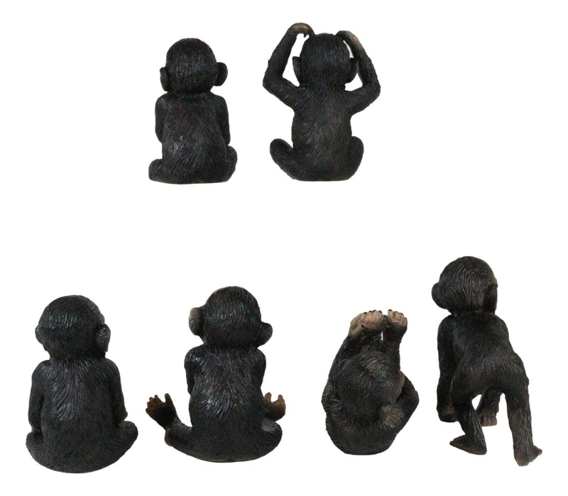 Ebros Whimsical Monkey See Monkey Do Set of 6 Chimpanzee Multi Pose Figurines