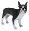 Realistic Miniature Boston Terrier Puppy Dog With Faint Red Face Figurine