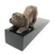 Ebros Brass Made Crouching Muscular Bulldog Door Stop Stopper Wedge Home Decor