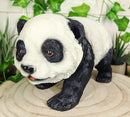 Ebros Realistic Lifelike Adorable China Asian Baby Giant Panda Bear Statue 9" Long with Glass Eyes Hand Painted Eastern Bamboo Mountain Pandas Bears Decor Figurine