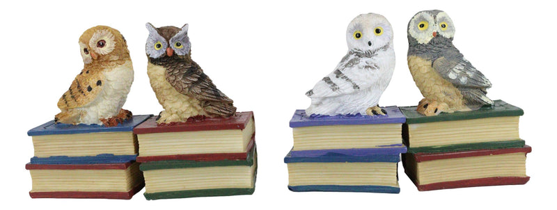 Wisdom Of The Forest Bibliography Owls Sitting On Books Figurine Owl Set Decors