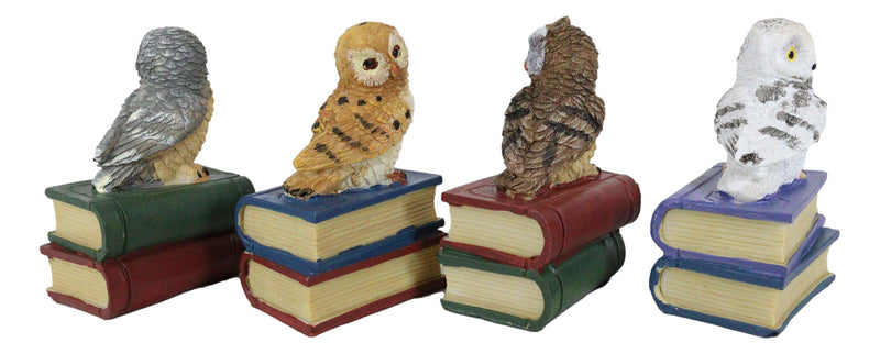 Wisdom Of The Forest Bibliography Owls Sitting On Books Figurine Owl Set Decors