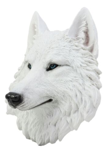 Ghost Albino Arctic White Wolf Head Wall Decor Plaque 8.5"H Direwolf Figurine - Ebros Gift