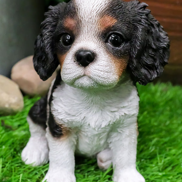 Ebros Adorable Cavalier King Charles Spaniel Dog Breed Statue 5.75