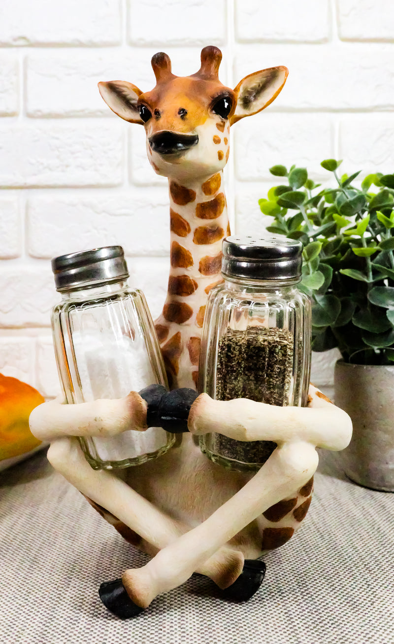 Salt & Pepper Shakers - Giraffe Magnetic Salt And Pepper Shakers