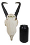 Western Rustic Pronghorn Antelope Skull With Antlers Feverfew Flowers Wall Decor