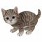 Lifelike Crouching Grey Striped Tabby Cat Statue 8.25"Long Realistic Glass Eyes