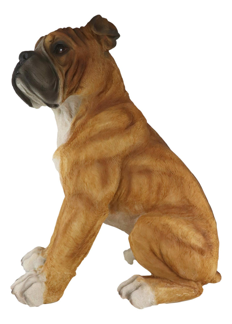Large 16"H Adorable Realistic Sitting Fawn Boxer Muscle Dog Decorative Statue