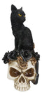 Gothic Black Feline Cat Sitting On Rose Vampire Skull Grimalkin's Ghost Figurine