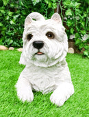 Ebros Large Lifelike West Highland Terrier White Westie Dog Statue 13.75"Long