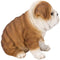 Ebros 5"H Realistic Animal Bulldog Puppy Collectible Home Decor Figurine