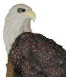 Large Mountain Grand Bald Eagle Perching On Tree Branch Wall Decor Plaque 17.5"H
