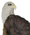 Large Mountain Grand Bald Eagle Perching On Tree Branch Wall Decor Plaque 17.5"H