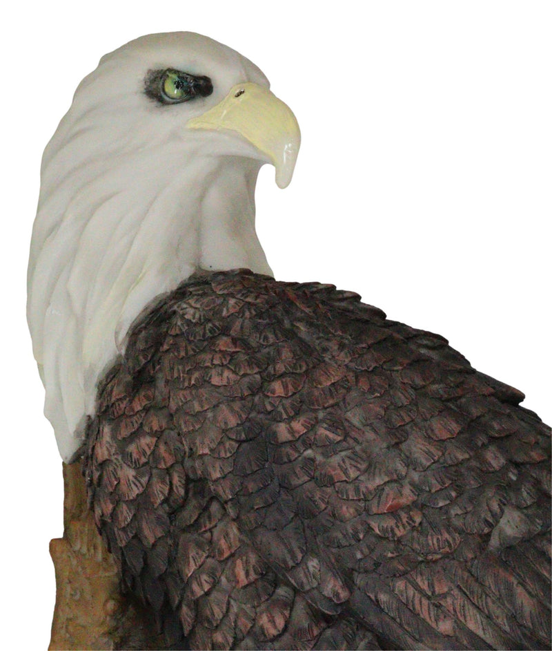 Large Mountain Grand Bald Eagle Perching On Tree Branch Wall Decor Plaque 17.5"H