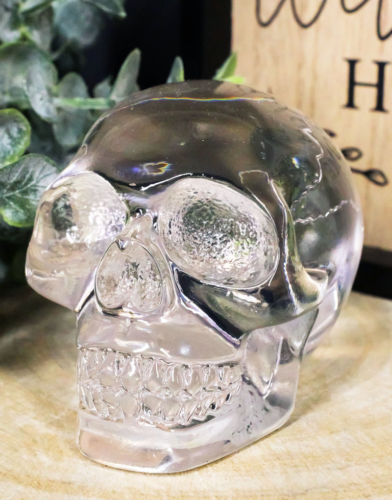 Ebros Small Clear Translucent Witching Hour Gazing Skull Acrylic Resin Cranium