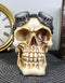 Steampunk Pilot Aviator Cyborg Skull Figurine Painted Gearwork Robotic Sculpture