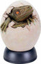 Ebros 5.25 Inch Green Cracked Baby Dinosaur Head Hatchling out an Egg