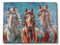 Rustic Country Western Colorful 3 Horses Printed Canvas Picture Wooden Frame 24"X18"
