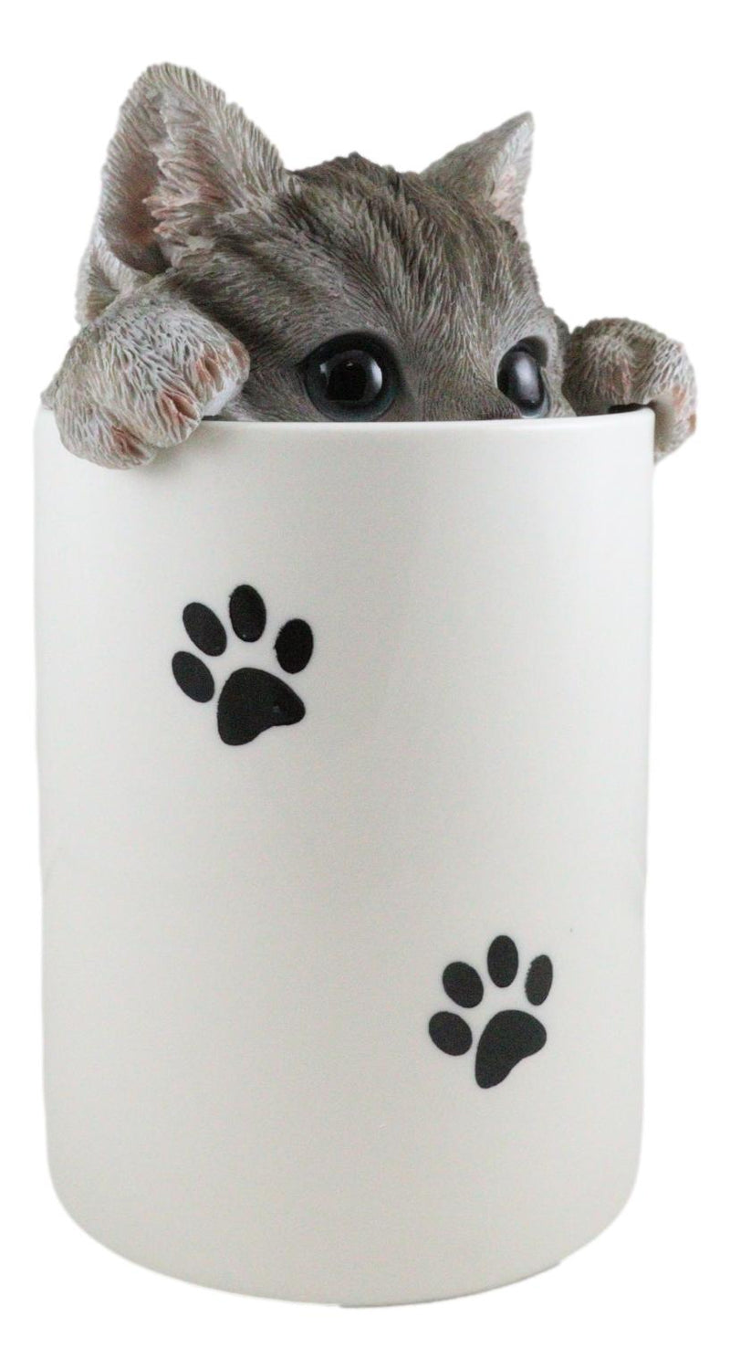 Ceramic Gray Tabby Cat Hiding and Peeking Dry Storage Jar With Paw Prints Decor
