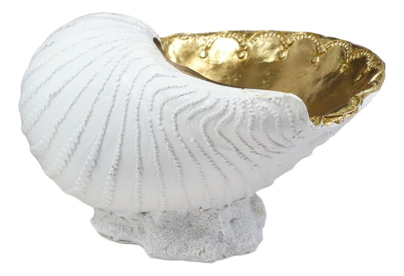 Ebros 10" L Golden Nautilus Mollusc Sea Shell Jewelry Dish Bowl Decor Statue