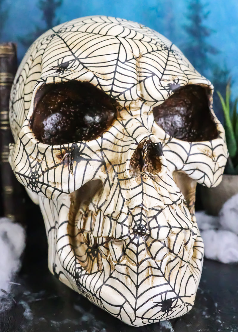 Creepy Crawler Tarantula Arachnid Spider With Cobwebs Skull Figurine Decor