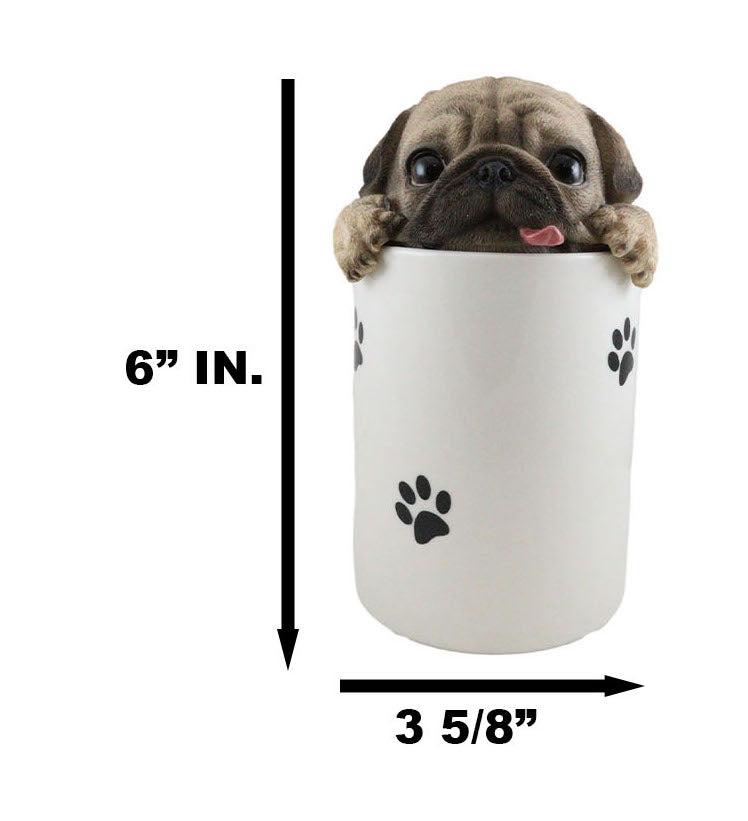 Ceramic Pug Puppy Dog Hiding and Peeking Dry Storage Jar With Paw Prints Decor