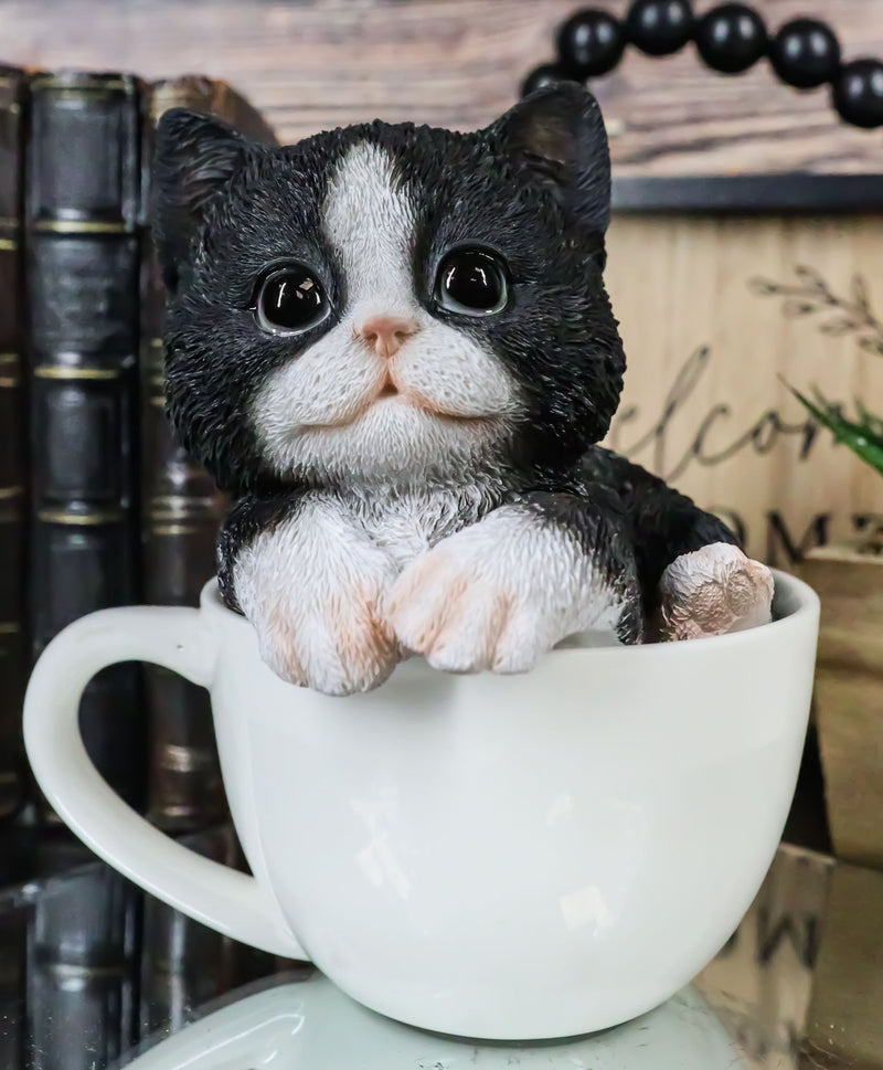 Lifelike Tuxedo Black and White Cat In Teacup Pet Pal Statue With Glass Eyes