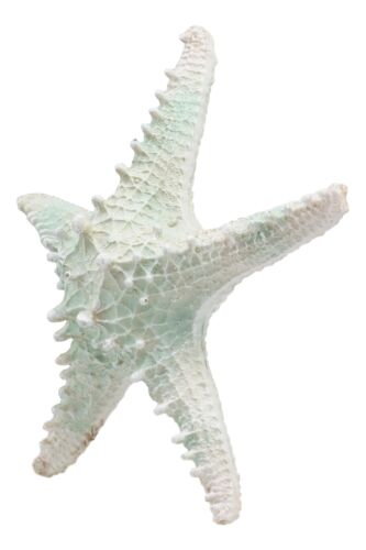 Large Ocean Coral Sea Star Shell Starfish Statue 8