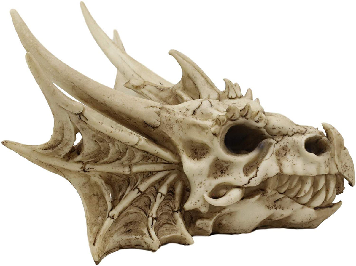 Ebros Elder Jurassic Dragon Head Skull Realistic Fossil Statue 9" Long Figurine - Ebros Gift