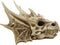 Ebros Elder Jurassic Dragon Head Skull Realistic Fossil Statue 9" Long Figurine