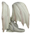 Ebros Resting Wise Old White Medieval Dragon Statue 8" Long