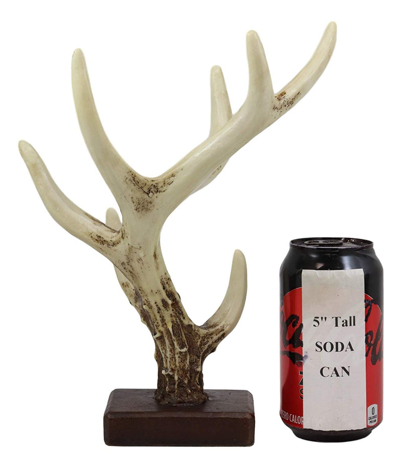 Ebros Rustic Buck Deer Antler Jewelry Accessories Holder Hook Stand 10.25"H
