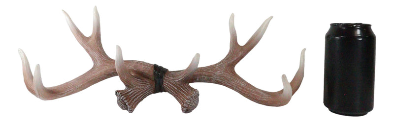 Ebros White Rustic 10 Point Stag Deer Antlers Rack Wall Plaque 17"W Coat Hooks