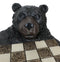 Rustic Western Forest Black Bear Checkerboard With Bear Paw Color Checkers Set