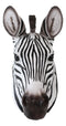 Ebros Safari Zebra Horse Bust Wall Decor Wildlife Wall Mount Sculpture Plaque 9.5"H