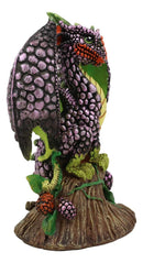Ebros BlackBerry Garden Dragon by Stanley Morrison Home Decor Statue