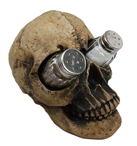 Ebros Scary Ossuary Human Skull Salt Pepper Shakers Holder Figurine 5.75" H
