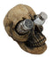 Ebros Scary Ossuary Human Skull Salt Pepper Shakers Holder Figurine 5.75" H