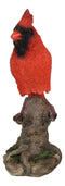 Wild Northern Red Cardinal Bird Perching on Tree Stump Spring Bouncing Figurine