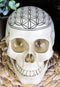Gothic Sacred Geometry Flower Of Life Creation Cosmic Energy Skull Figurine